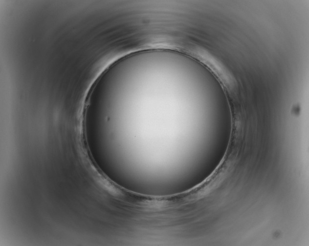 X0000102831236200808181316