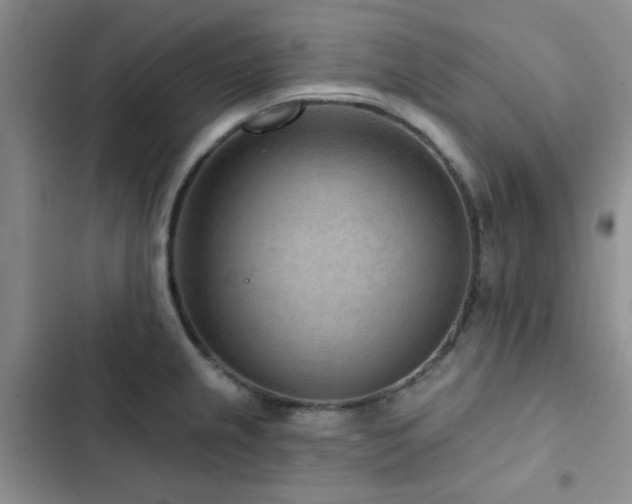 X0000102831237200808181316