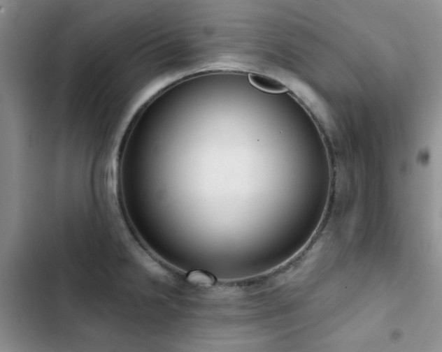 X0000102831238200808181316