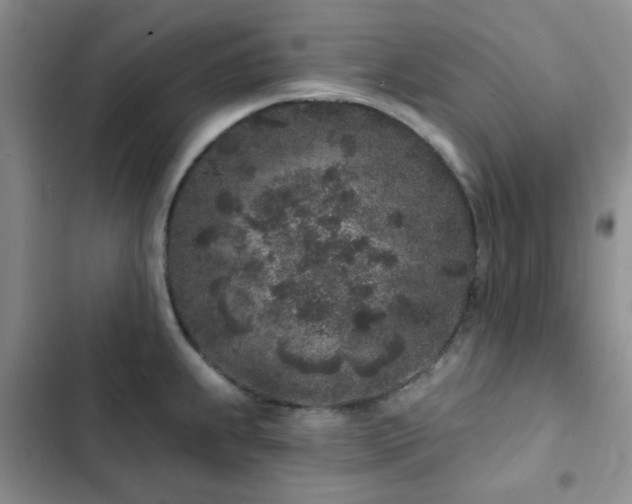 X0000102831239200808181316