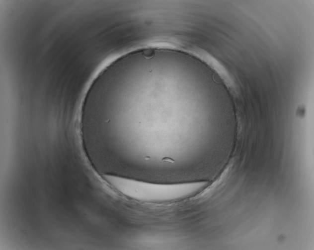 X0000102831240200808181316