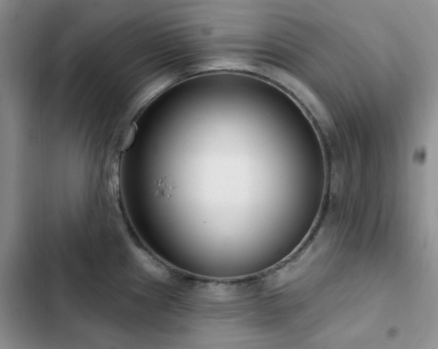 X0000102831241200808181316