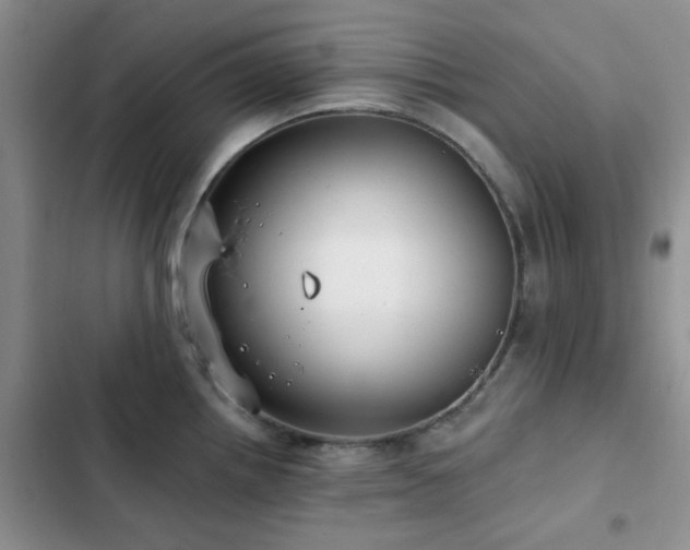 X0000102831242200808181316