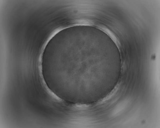 X0000102831243200808181316