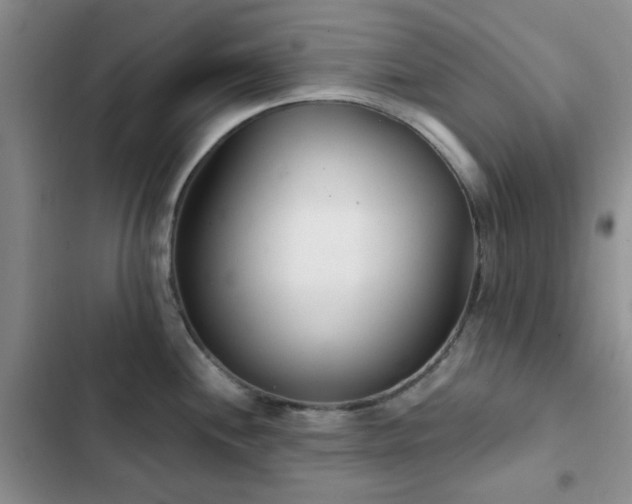 X0000102831244200808181316