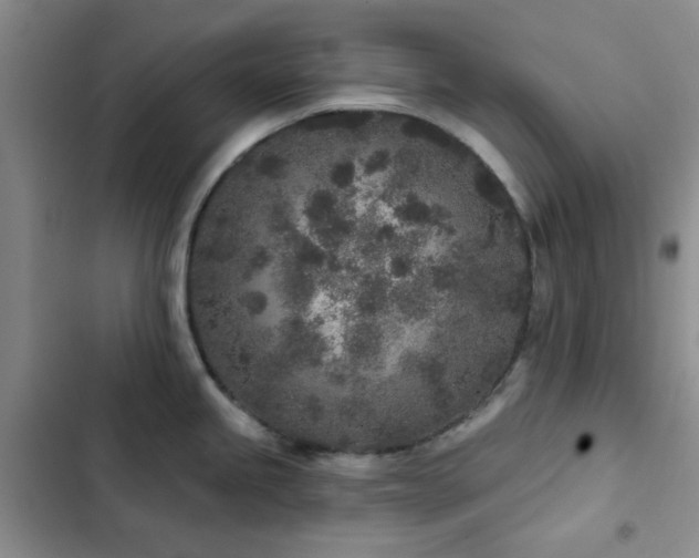 X0000102831245200808181316