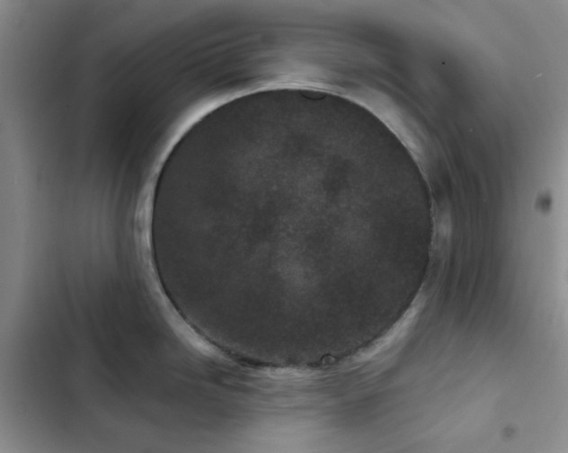 X0000102831246200808181316