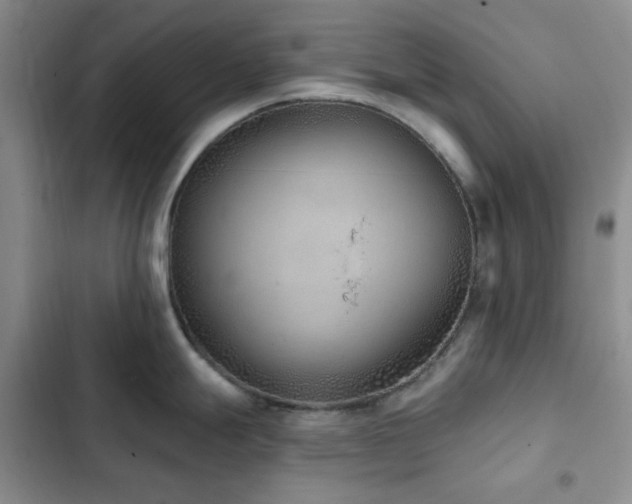 X0000102831247200808181316