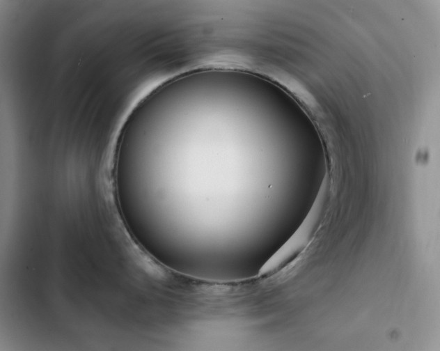 X0000102831248200808181316