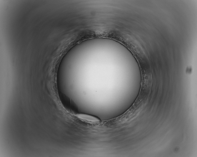 X0000102831249200808181316
