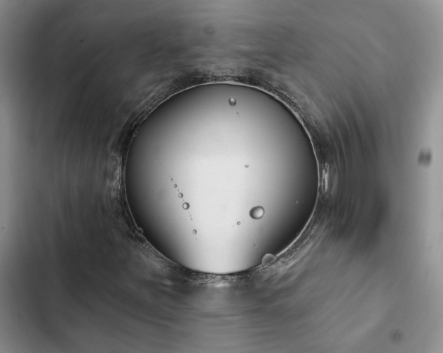X0000102831251200808181315