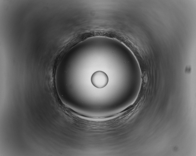X0000102831252200808181315