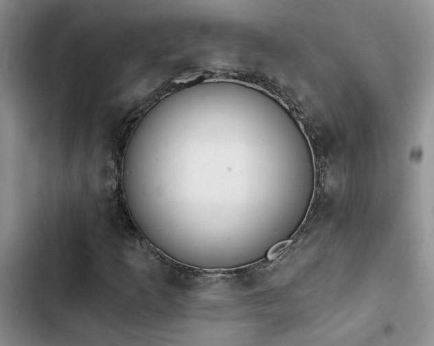 X0000102831253200808181315