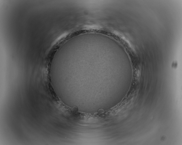 X0000102831254200808181315
