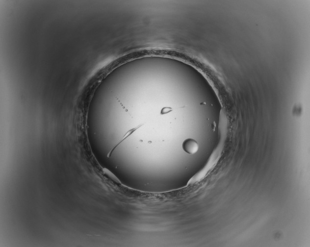 X0000102831255200808181315