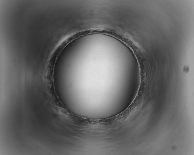 X0000102831256200808181315