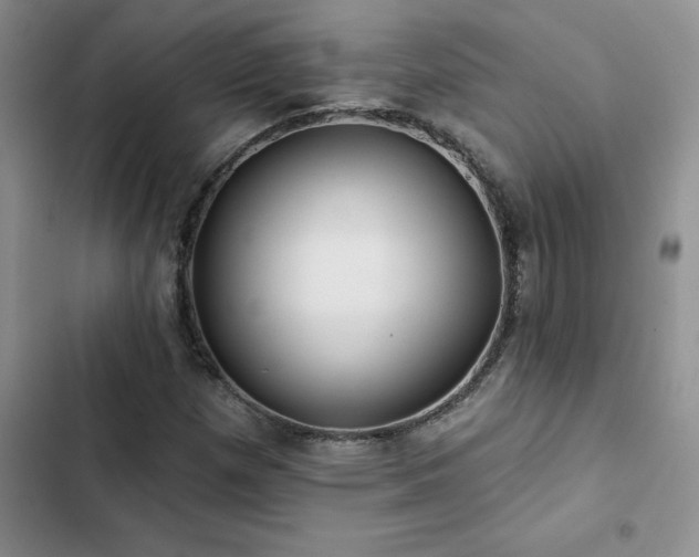 X0000102831257200808181315