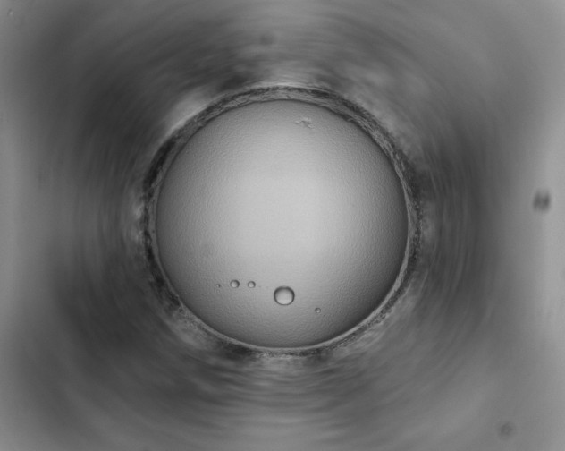 X0000102831258200808181315