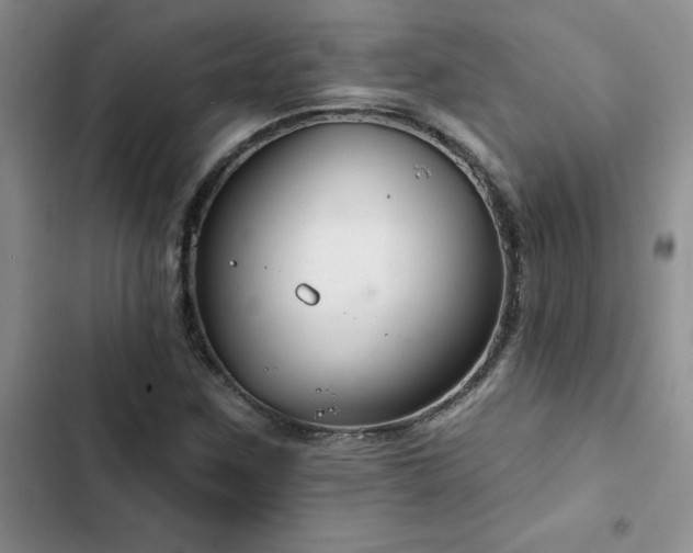 X0000102831259200808181315