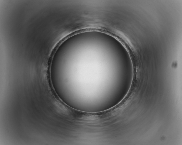 X0000102831260200808181315