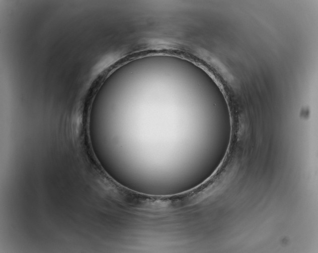X0000102831261200808181315