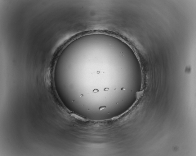 X0000102831262200808181315