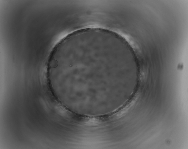 X0000102831263200808181315