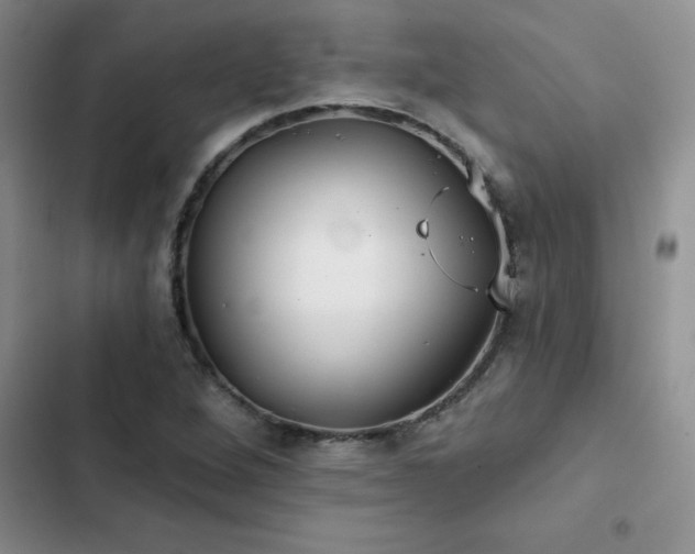 X0000102831264200808181315