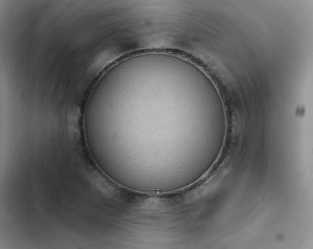 X0000102831265200808181315