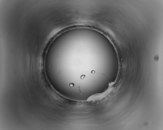 X0000102831267200808181315
