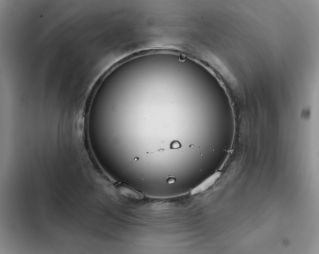 X0000102831268200808181315