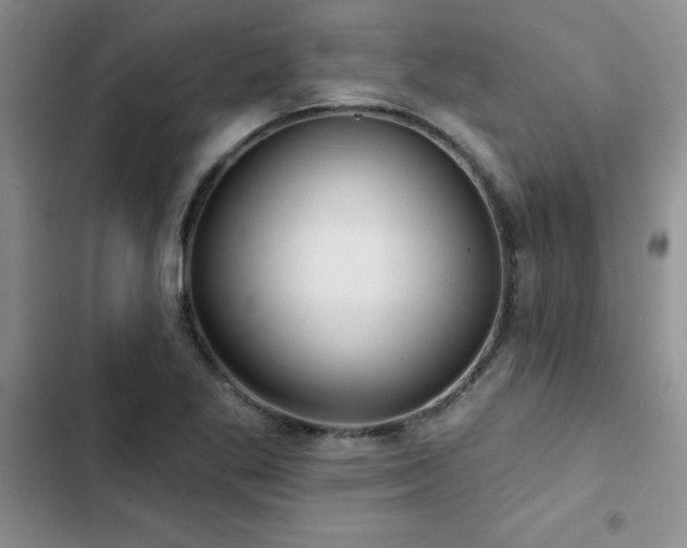 X0000102831269200808181315