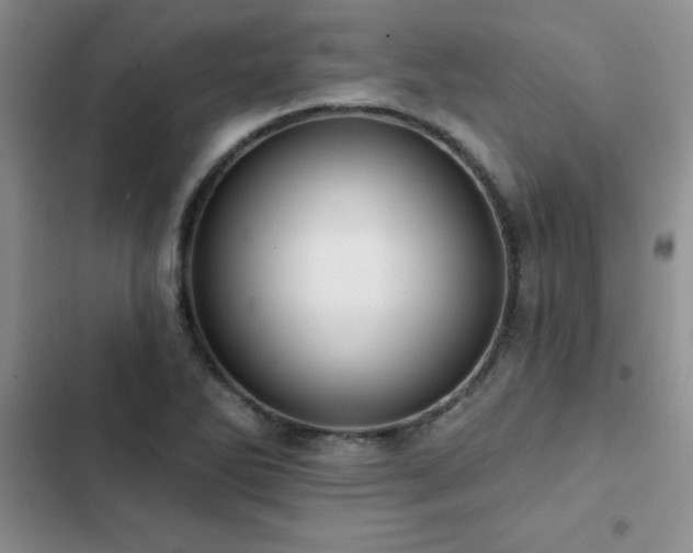 X0000102831270200808181315