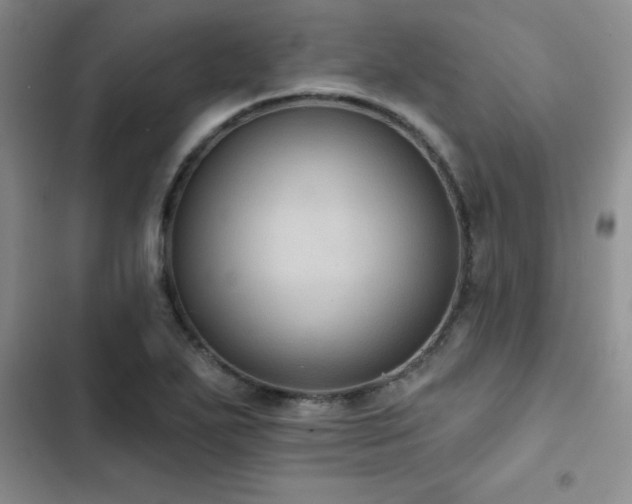 X0000102831271200808181315
