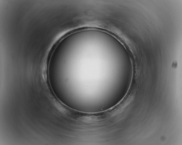 X0000102831272200808181315