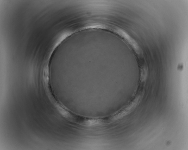 X0000102831274200808181315