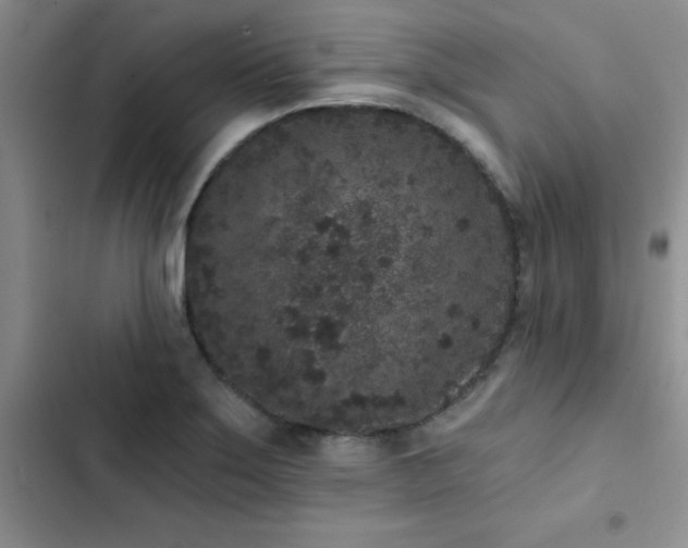 X0000102831275200808181315