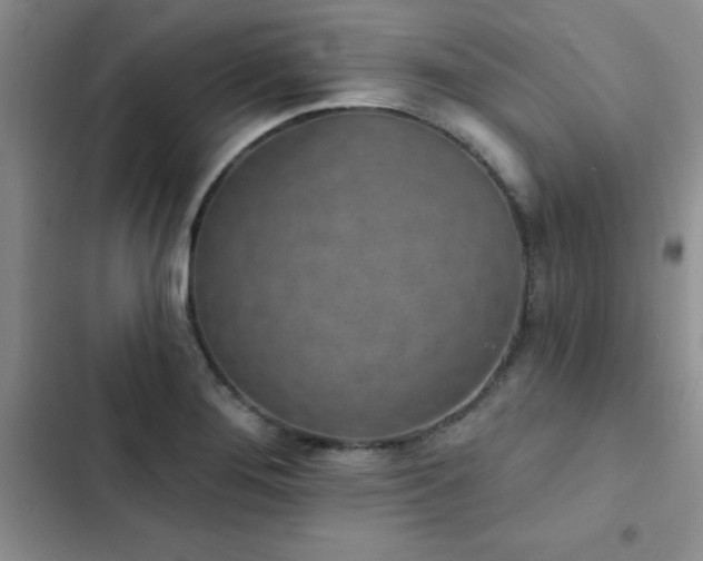 X0000102831276200808181315
