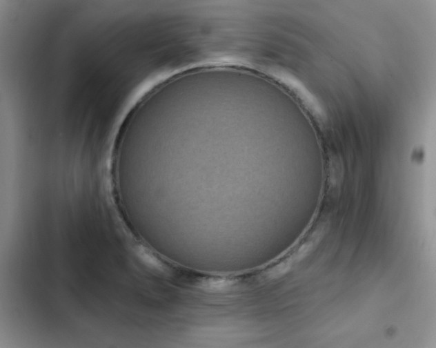X0000102831278200808181315