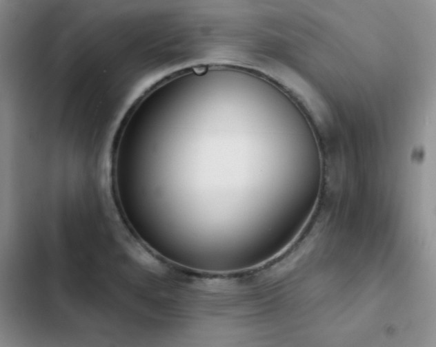 X0000102831280200808181315