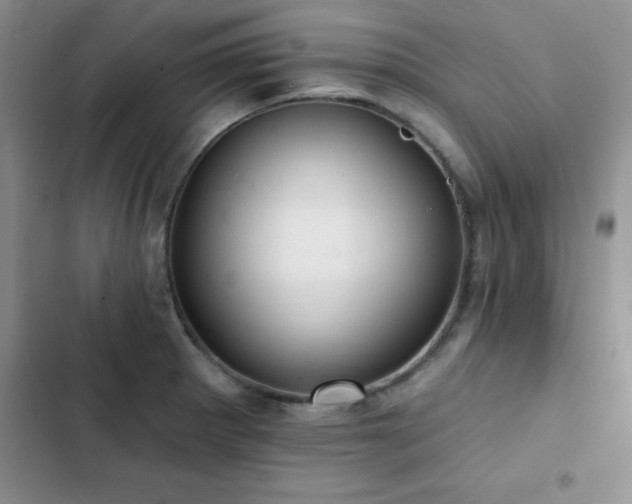 X0000102831281200808181315