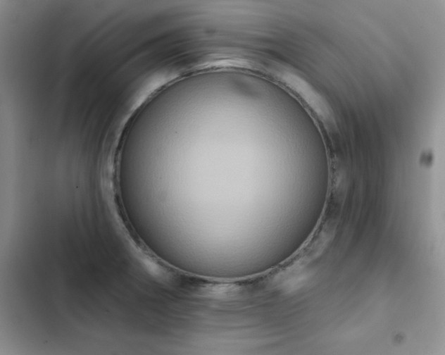 X0000102831282200808181315