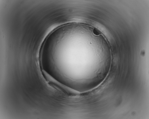 X0000102831283200808181315