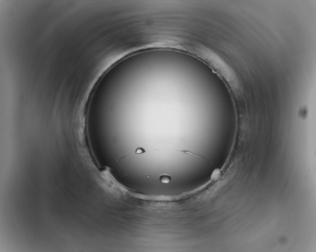 X0000102831284200808181315