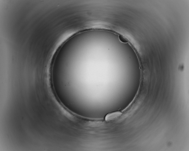 X0000102831285200808181315