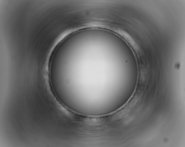 X0000102831286200808181315