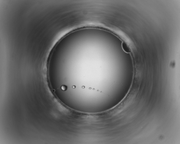 X0000102831287200808181315