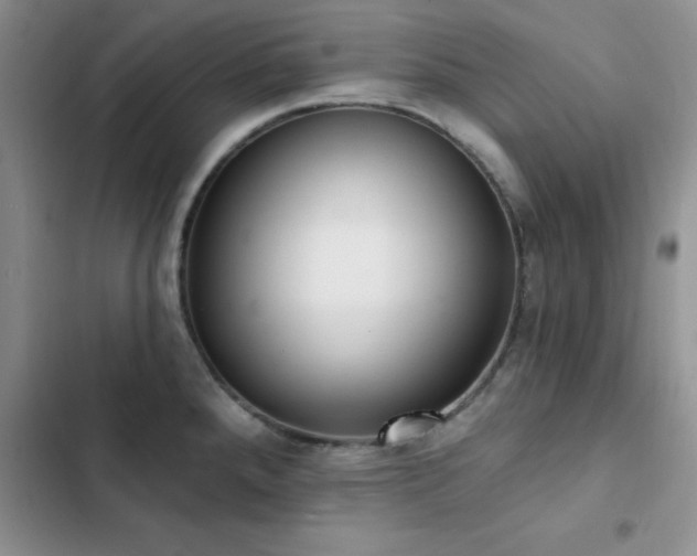 X0000102831288200808181315