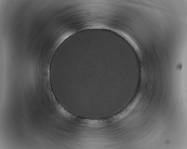 X0000102831289200808181315