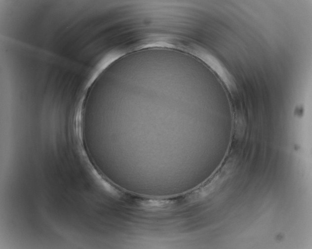 X0000102831290200808181315